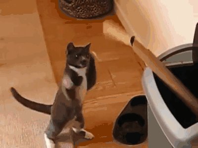 Fight me bro.