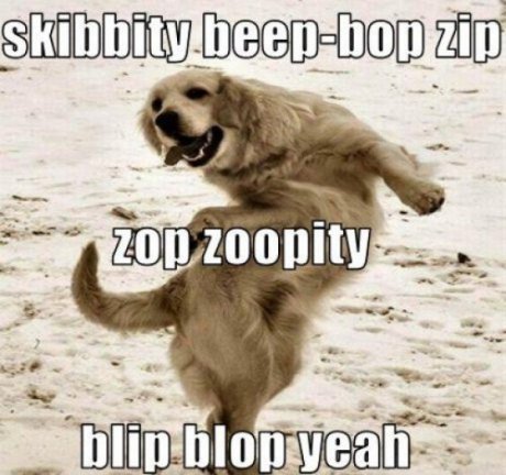 Dancing dog!