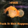 Forget #YOLO.Remember #FISH.