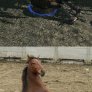 Now you are riding with portals!