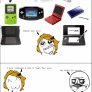 nintendogasm