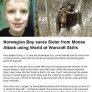 Moose attack