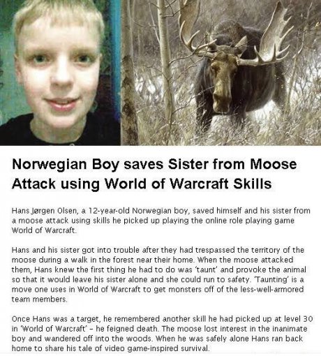 Moose attack