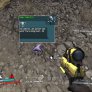 Borderlands Panties