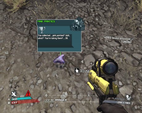 Borderlands Panties