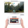 How Nintendo Could Have Won