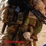 War Dog