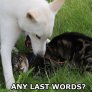 Any Last Words?