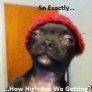Weed???