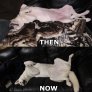 Then and Now beautiful Blanca