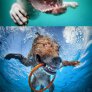 Underwater Dogs