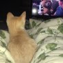 I wanna be just like Ted mommy!