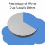 Dogs