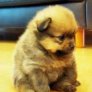Cute