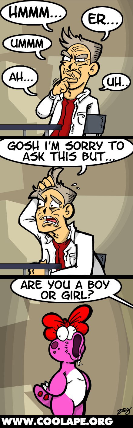 what are you?