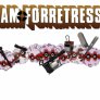 Team Forretress 2
