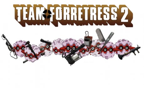 Team Forretress 2