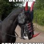 Horse Armor