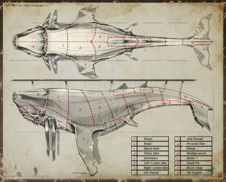 Whale Wouldja Look At That