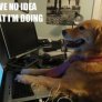 MFW when I play poker in Far Cry 3