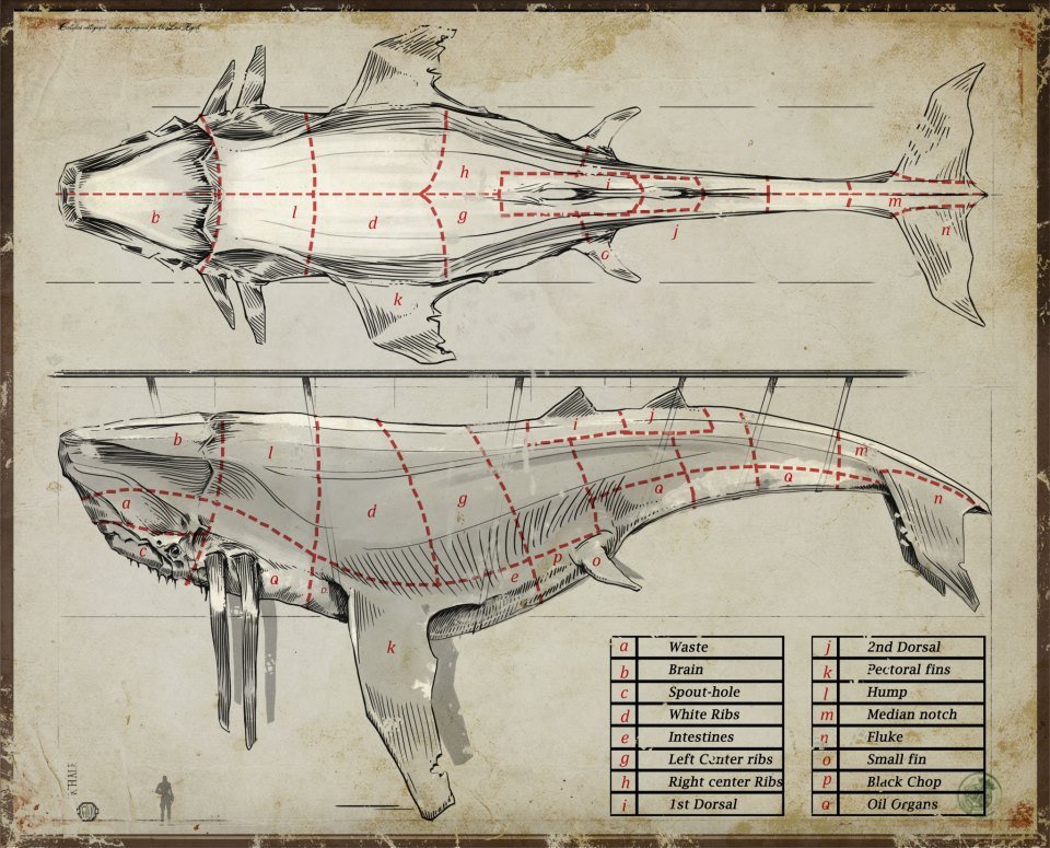 Whale Wouldja Look At That