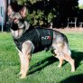 Commander Shepherd