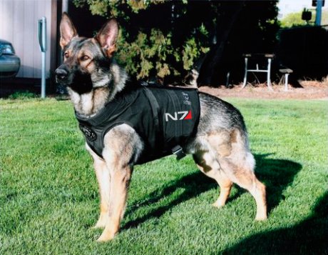 Commander Shepherd