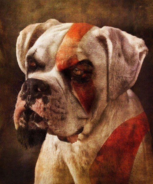 Dog of War