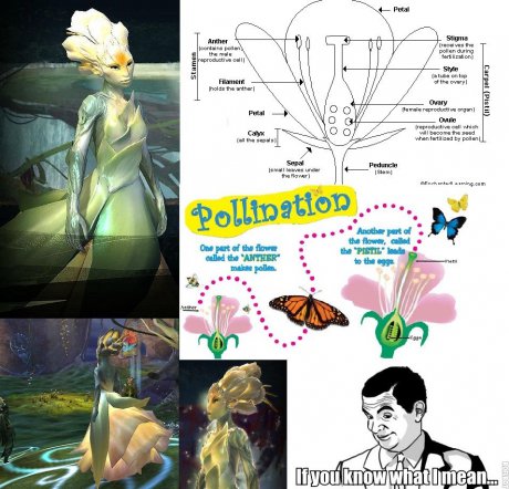 The Pale Tree needs to cover up, damn