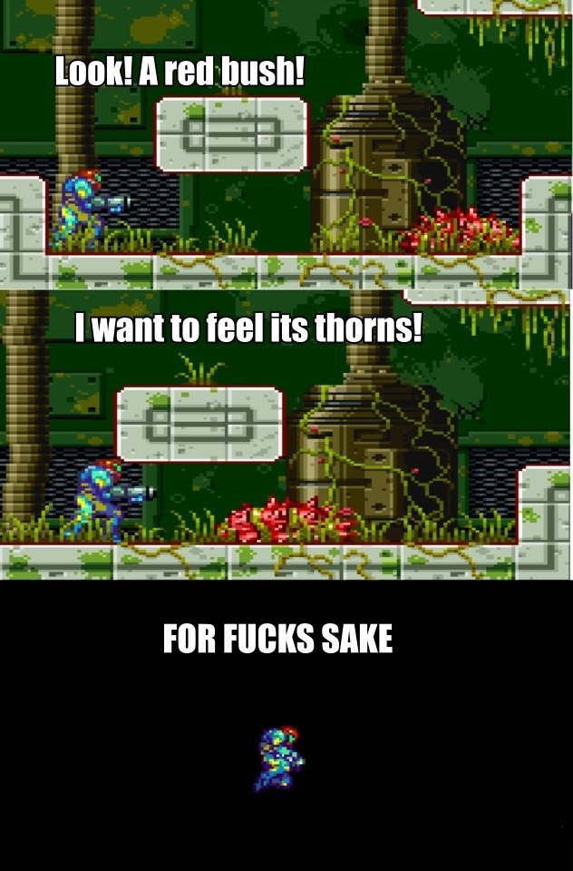 Samus vs. a caterpillar. [OC]