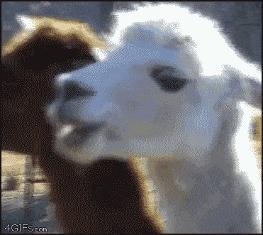 When I notice someone in the bar is checking me out