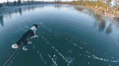 Skating on very clear ice