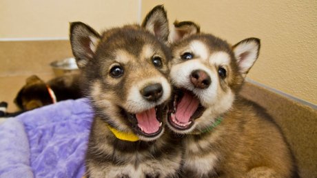 "Come on, bud; let's take a picture!"