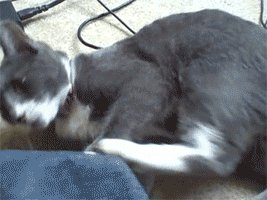 Loosing control