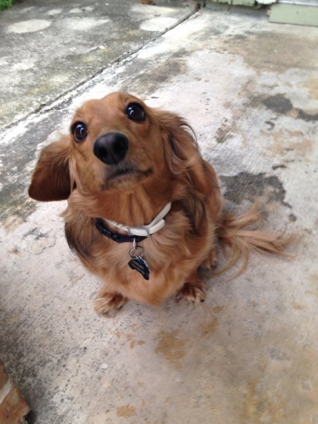 Today is Oakley's birthday