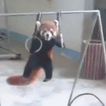 I'll show all those f**kers who called me a raccoon