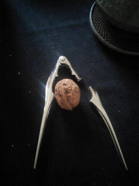It's a hard nut to crack
