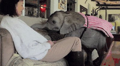 Can I pleeeeease sit in your lap?