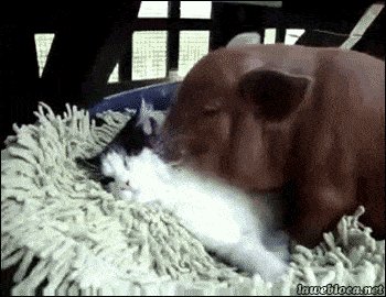 This makes me uncomfortable