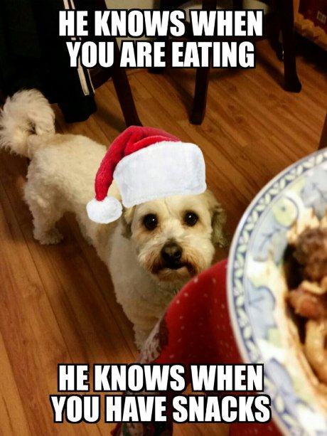 He knows