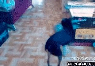 When my girlfriend gets drunk and starts flirting with strangers at a party