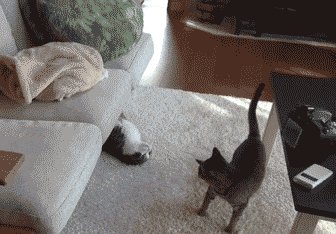 That's like a secret hug...!