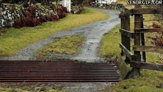 Getting past the cow grate