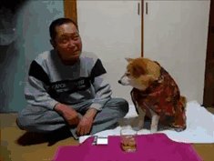 You have had enough to drink bro.