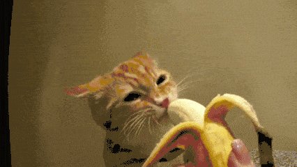 Bananomnomnom