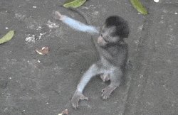 Come here bro
