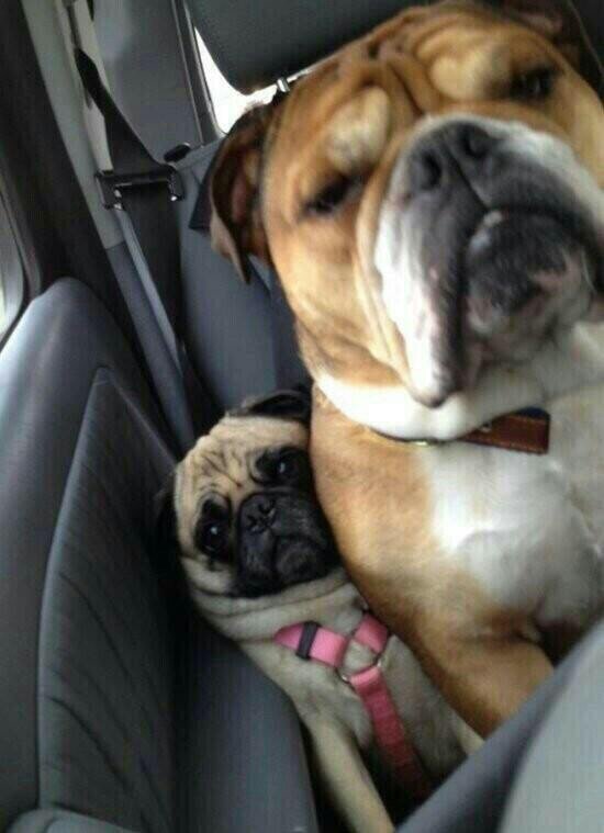 When I'm the smallest person in a packed car.