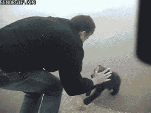 Cute little bear attacks man