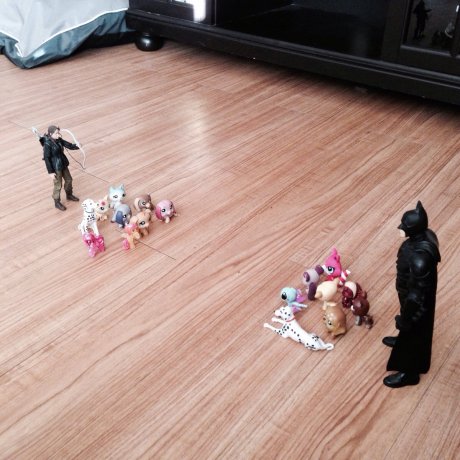 My niece said that they were preparing for battle.