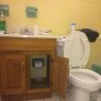 It only took me 3 days to find the toilet paper.